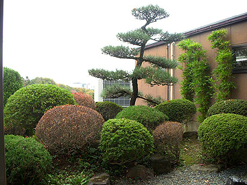 男子浴室から見える風景