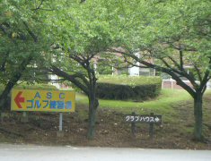 分れ道