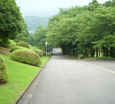 進入路