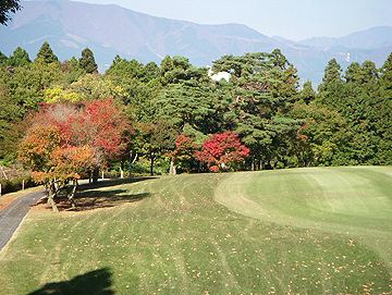 紅葉風景