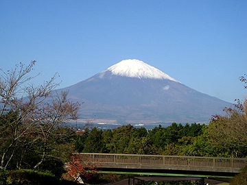 雄大な富士山