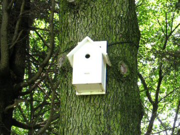 野鳥の小屋