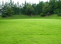 アプローチ練習場3