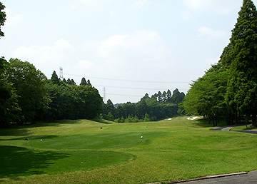 NO11 PAR4