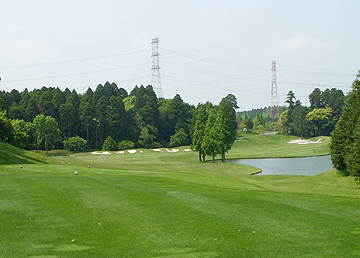 NO13 PAR4