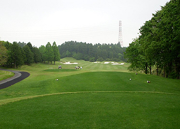 NO1 PAR4