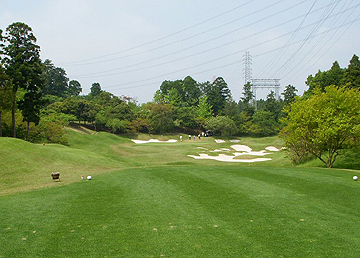 NO3 PAR3