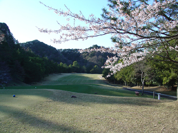 桜が綺麗なホール