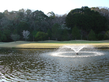 池に噴水