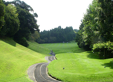 NO17 PAR4
