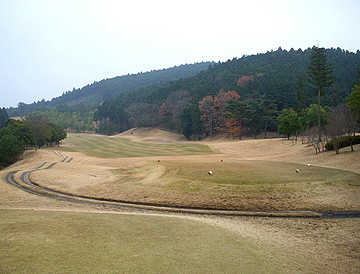 NO2 PAR4