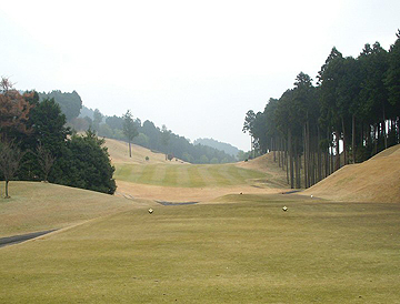 NO7 PAR5