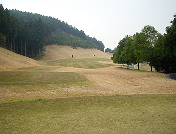 NO8 PAR4