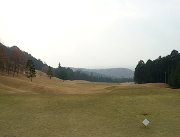 NO1 PAR4