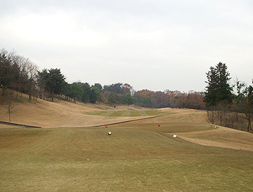 NO8 PAR4