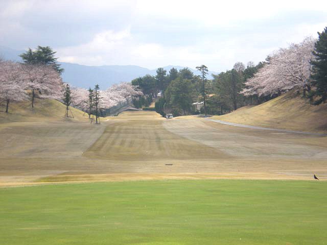 桜が美しいホール