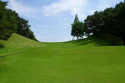東京よみうりCC 14番ホール