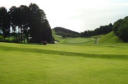 小田原城CC 6番ホール