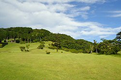 小田原城CC 7番ホール