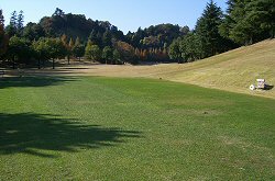 東京ﾛｲﾔﾙGC<br> 2番ホール