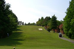 東京ﾛｲﾔﾙGC<br> 20番ホール
