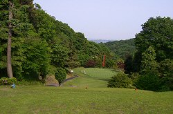 東京ﾛｲﾔﾙGC<br> 26番ホール