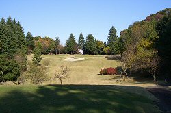 東京ﾛｲﾔﾙGC<br> 8番ホール