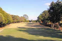 平塚富士見CC 13番ホール