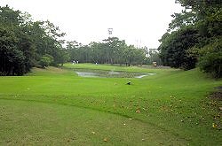 静岡C浜岡コース&ホテル 8番ホール