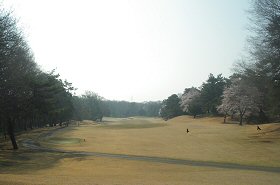 高坂CC 28番ホール