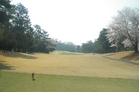 高坂CC 30番ホール