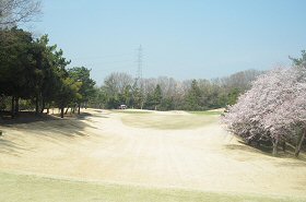 高坂CC 35番ホール