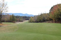 鳩山CC 14番ホール