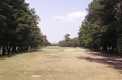 鎌ヶ谷CC 16番ホール