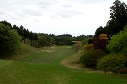 GC成田ﾊｲﾂﾘｰ 11番ホール