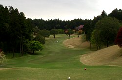 GC成田ﾊｲﾂﾘｰ 5番ホール