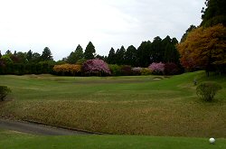 GC成田ﾊｲﾂﾘｰ 8番ホール