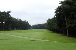 紫CCあやめコース 19番ホール