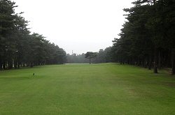 紫CCあやめコース 24番ホール