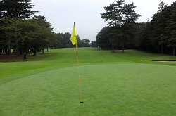 紫CCあやめコース 26番ホール
