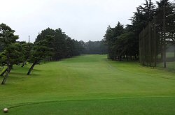紫CCあやめコース 29番ホール