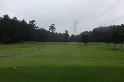 紫CCあやめコース 35番ホール