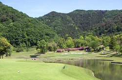 太平洋アソシエイツ 30番ホール