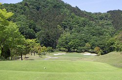 太平洋アソシエイツ 35番ホール