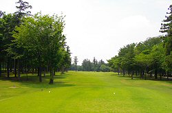 太平洋アソシエイツ 4番ホール