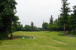 太平洋アソシエイツ 5番ホール