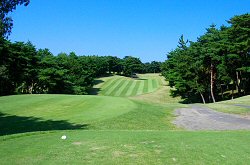 国際桜GC 6番ホール