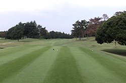 ｽﾌﾟﾘﾝｸﾞﾌｨﾙｽﾞGC 7番ホール