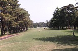 龍ヶ崎CC 11番ホール