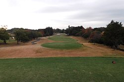 美浦GC 11番ホール